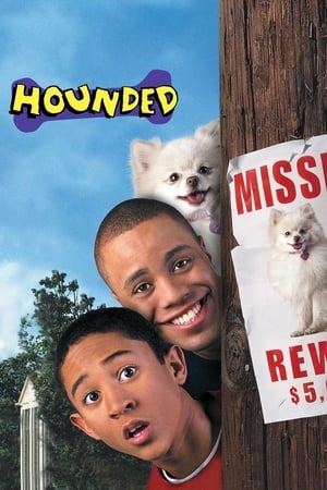 Hounded 2001 Hindi Dual Audio 310MB